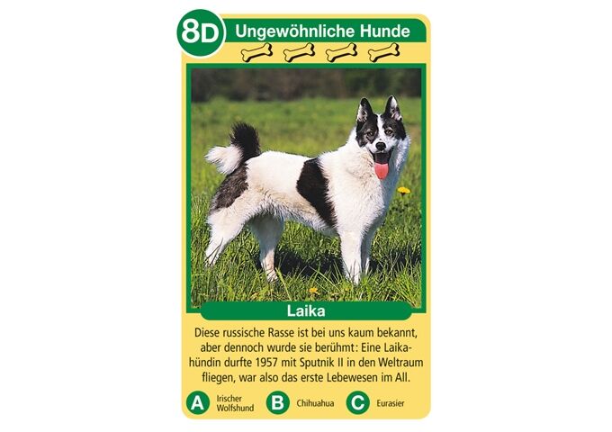 Ravensburger Quartett Hunde