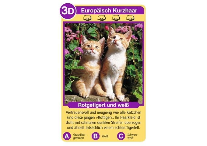 Ravensburger Quartett Katzen