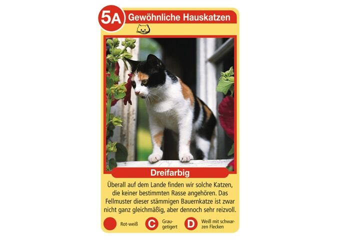 Ravensburger Quartett Katzen